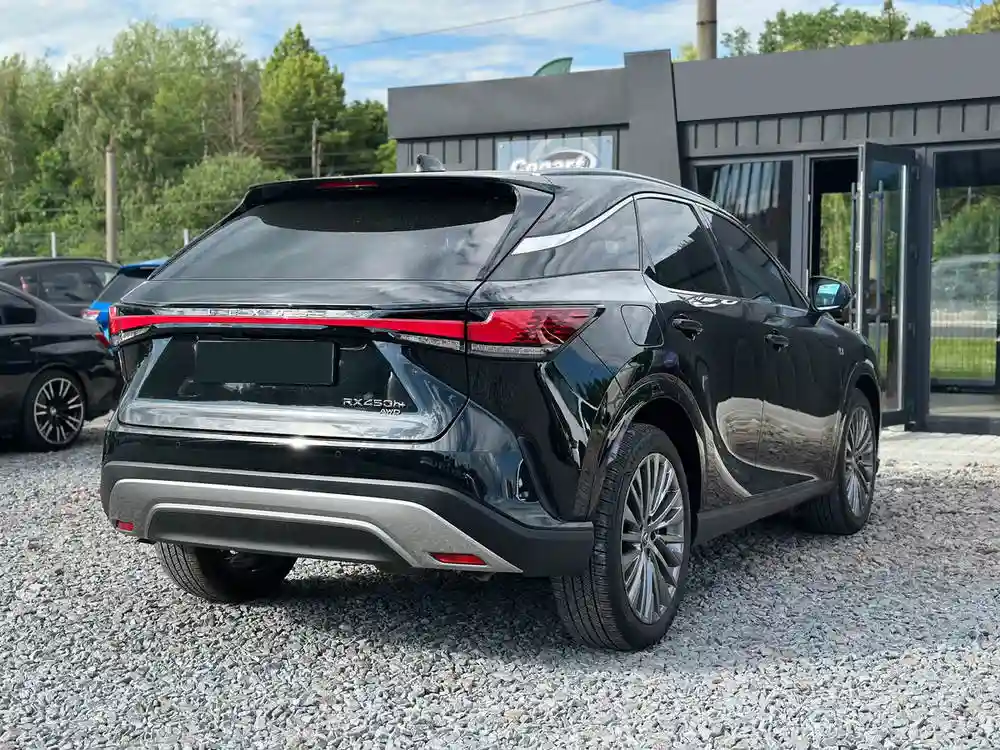 JTJCJMGA2R2021916 2024 LEXUS RX 450H + LUXURY-4