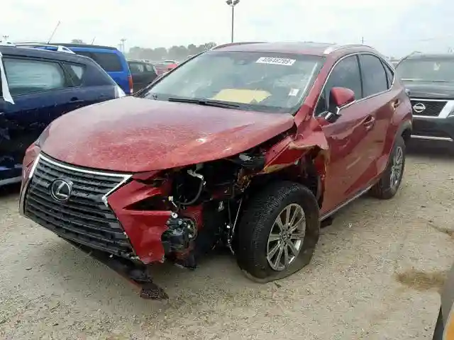 JTJBARBZ4K2202415 2019 LEXUS NX 300-1