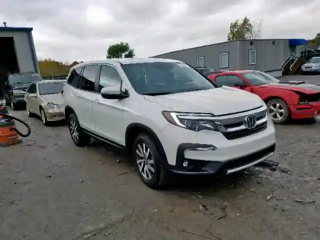 5FNYF6H50KB009807 2019 HONDA PILOT EXL-0