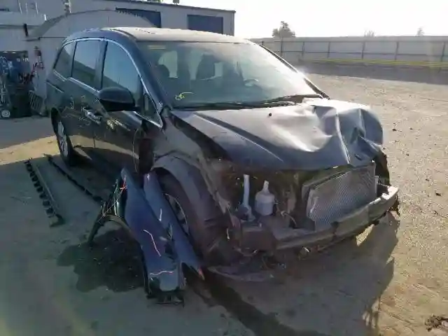 5FNRL5H62GB118843 2016 HONDA ODYSSEY EXL-0