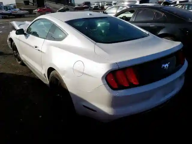 1FA6P8TH5H5237531 2017 FORD MUSTANG-2