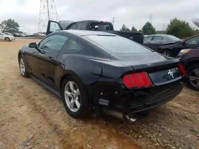 1FA6P8AM6H5230099 2017 FORD MUSTANG-2