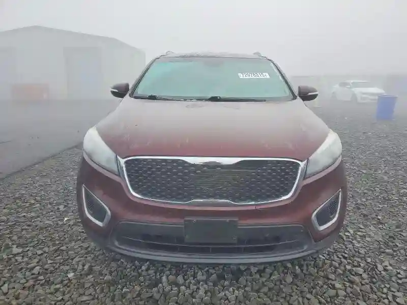 5XYPGDA32HG279354 2017 KIA SORENTO-3