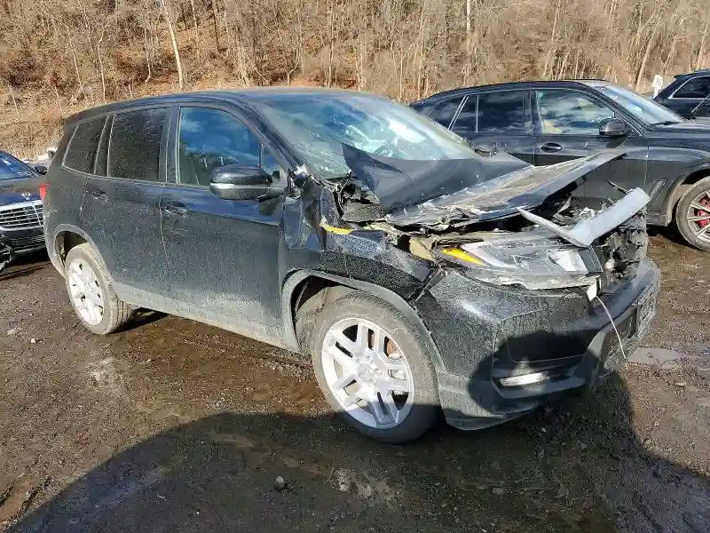 5FNYF8H50SB013190 2025 HONDA PASSPORT-3