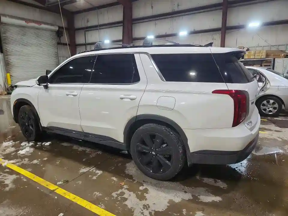 KM8R3DGE9SU930655 2025 HYUNDAI PALISADE X-1