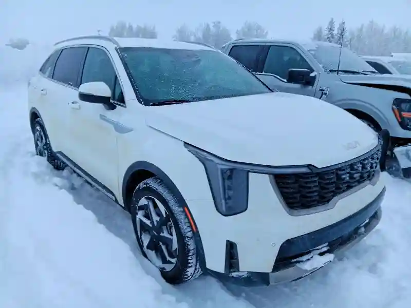 KNDRJDJH8S5298982 2025 KIA SORENTO-3