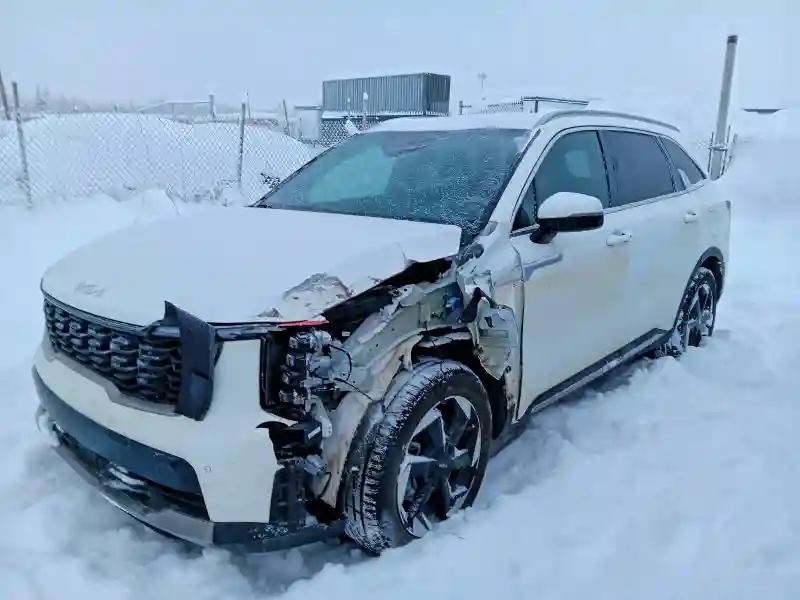 KNDRJDJH8S5298982 2025 KIA SORENTO-0