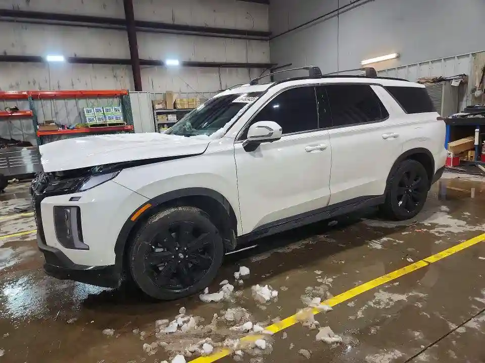 KM8R3DGE9SU930655 2025 HYUNDAI PALISADE X-0