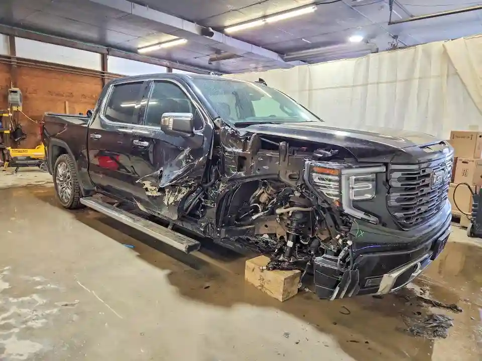 1GTUUHE87SZ184256 2025 GMC SIERRA-3