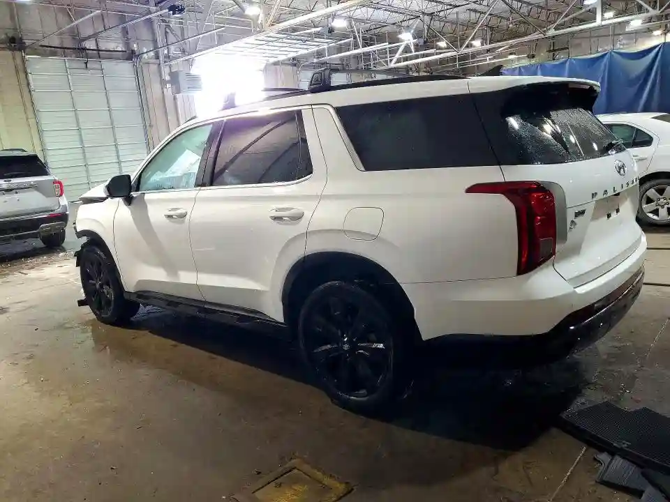 KM8R3DGE9SU907084 2025 HYUNDAI PALISADE-1