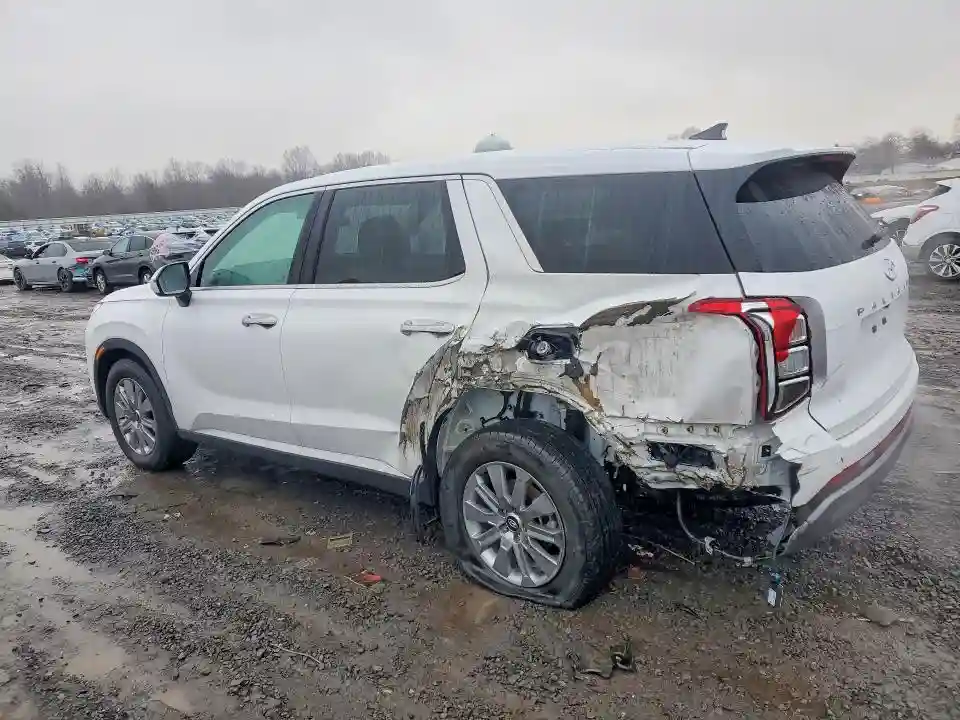 KM8R1DGE4SU937289 2025 HYUNDAI PALISADE-1