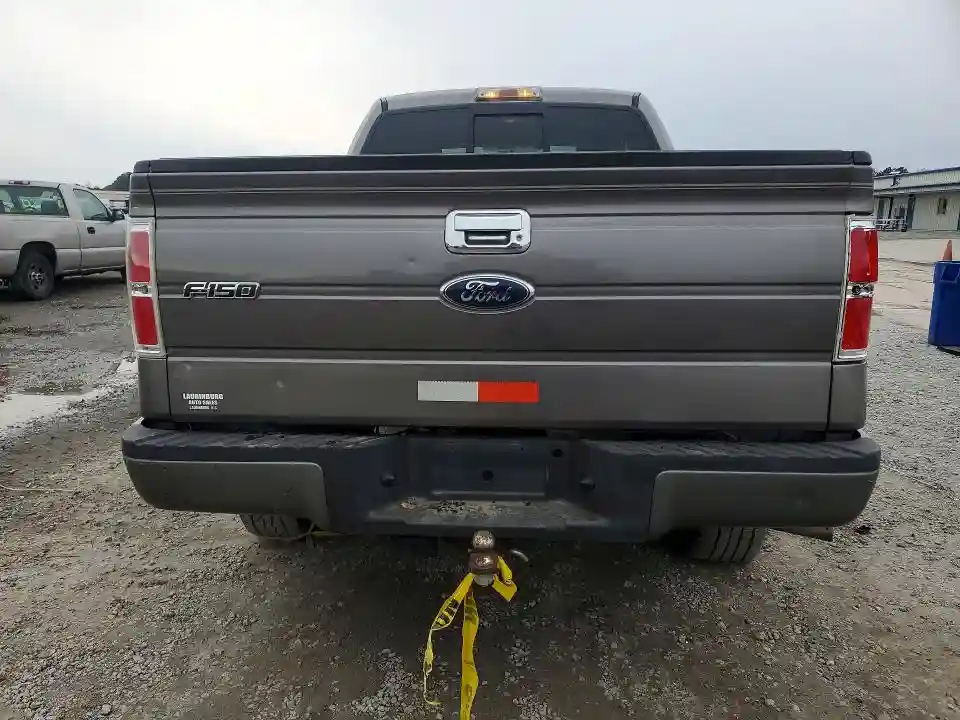 1FTEX1E85AFA71344 2010 FORD F-150-5