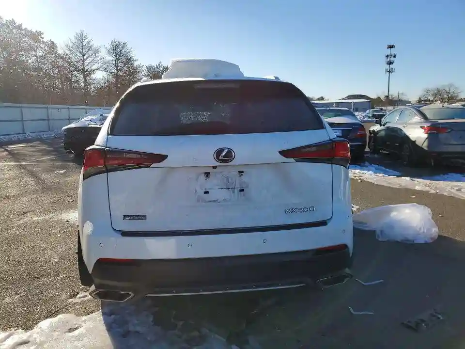 JTJBARBZ2K2187865 2019 LEXUS NX-5