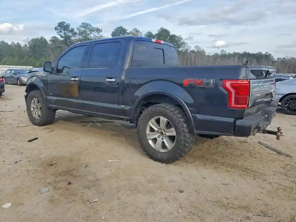 1FTEW1EG5FFB54810 2015 FORD F-150-1