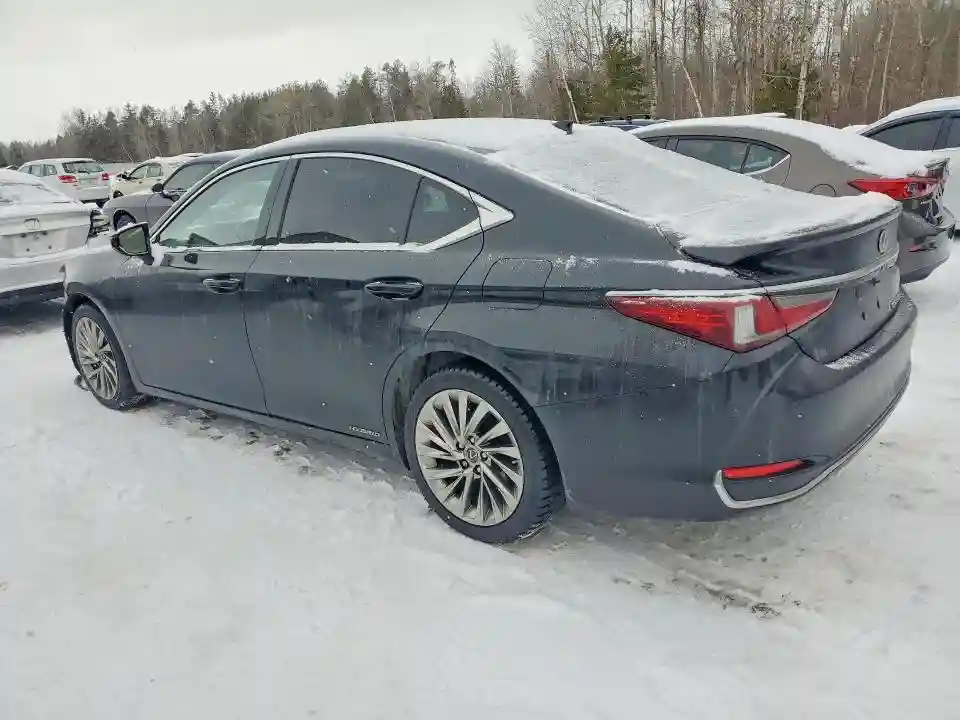 JTHB21B10K2011147 2019 LEXUS ES300-1