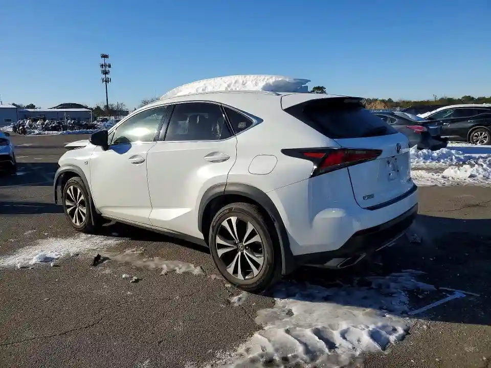 JTJBARBZ2K2187865 2019 LEXUS NX-1