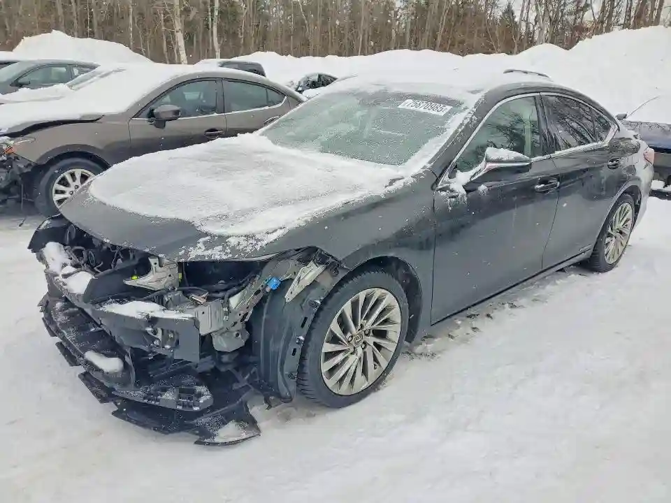 JTHB21B10K2011147 2019 LEXUS ES300-0