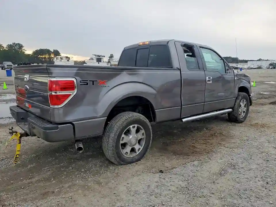 1FTEX1E85AFA71344 2010 FORD F-150-2