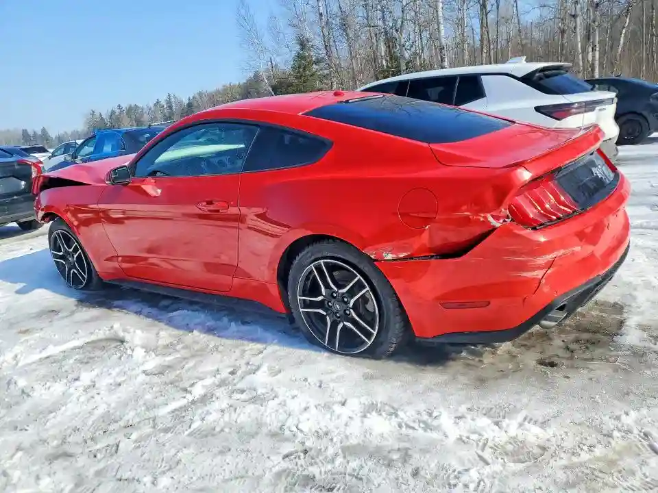 1FA6P8TH0K5103100 2019 FORD MUSTANG-1