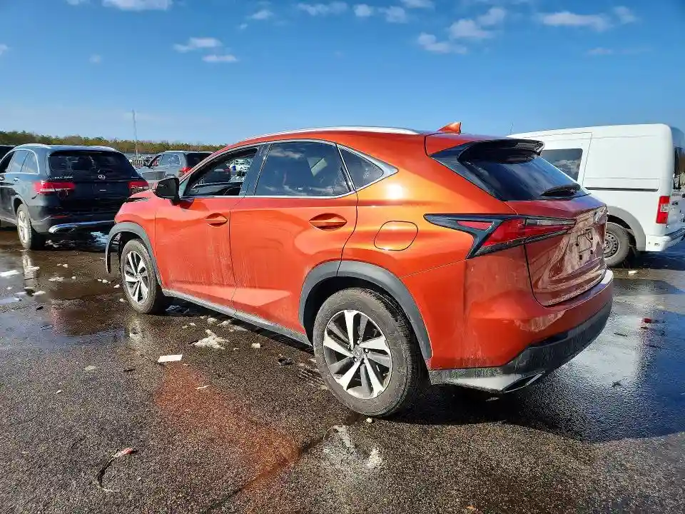 JTJGARDZ1L2222528 2020 LEXUS NX-1