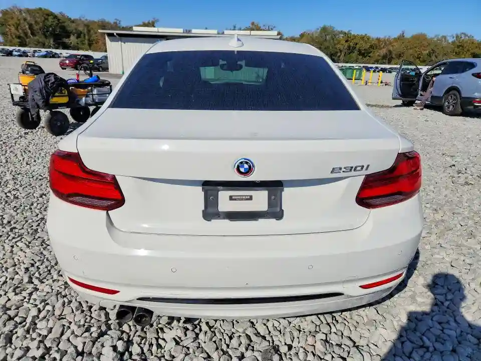 WBA2J1C03L7D90417 2020 BMW 2 SERIES-5