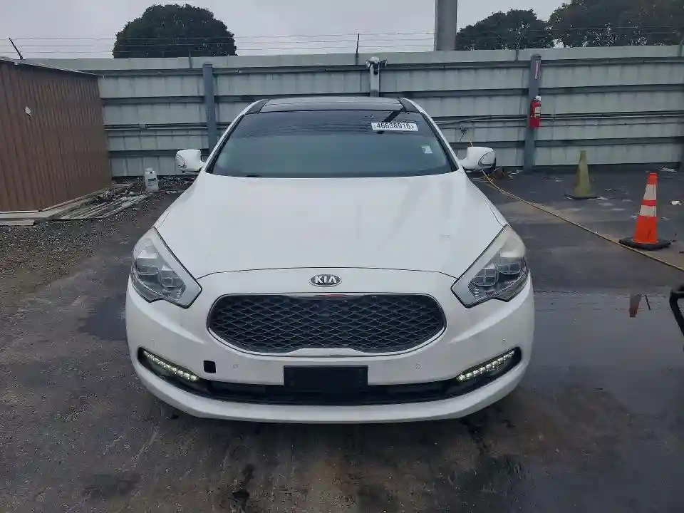 KNALW4D43F6020763 2015 KIA K900-4