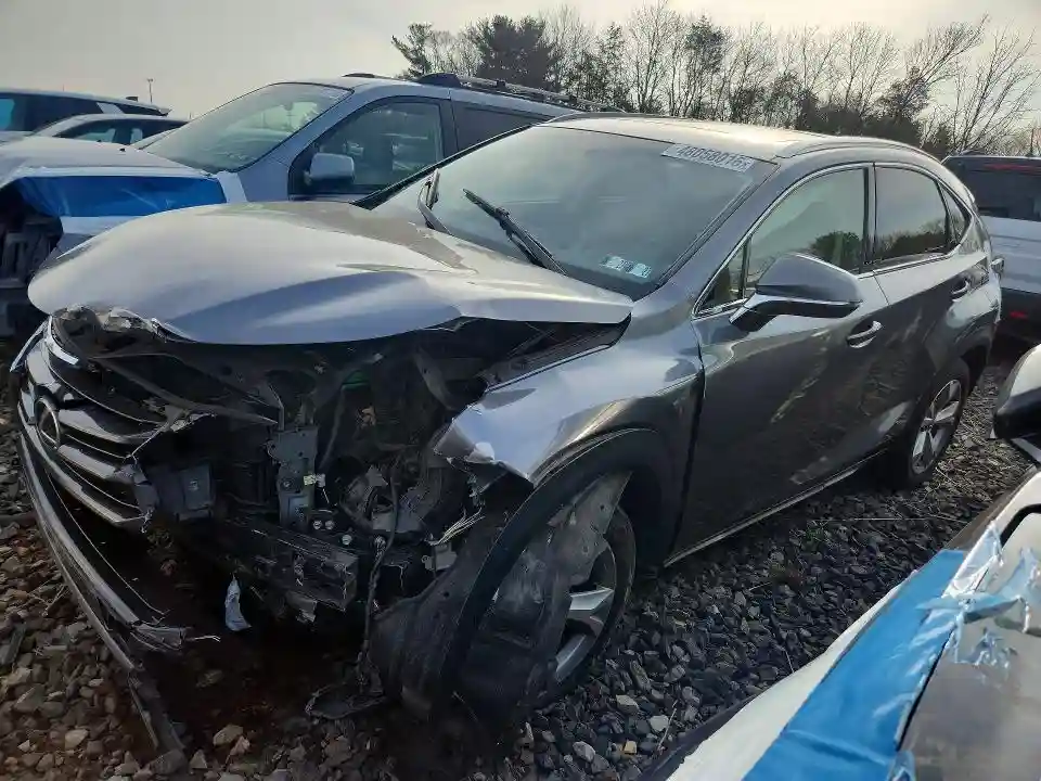 JTJBARBZ6H2098566 2017 LEXUS NX-0