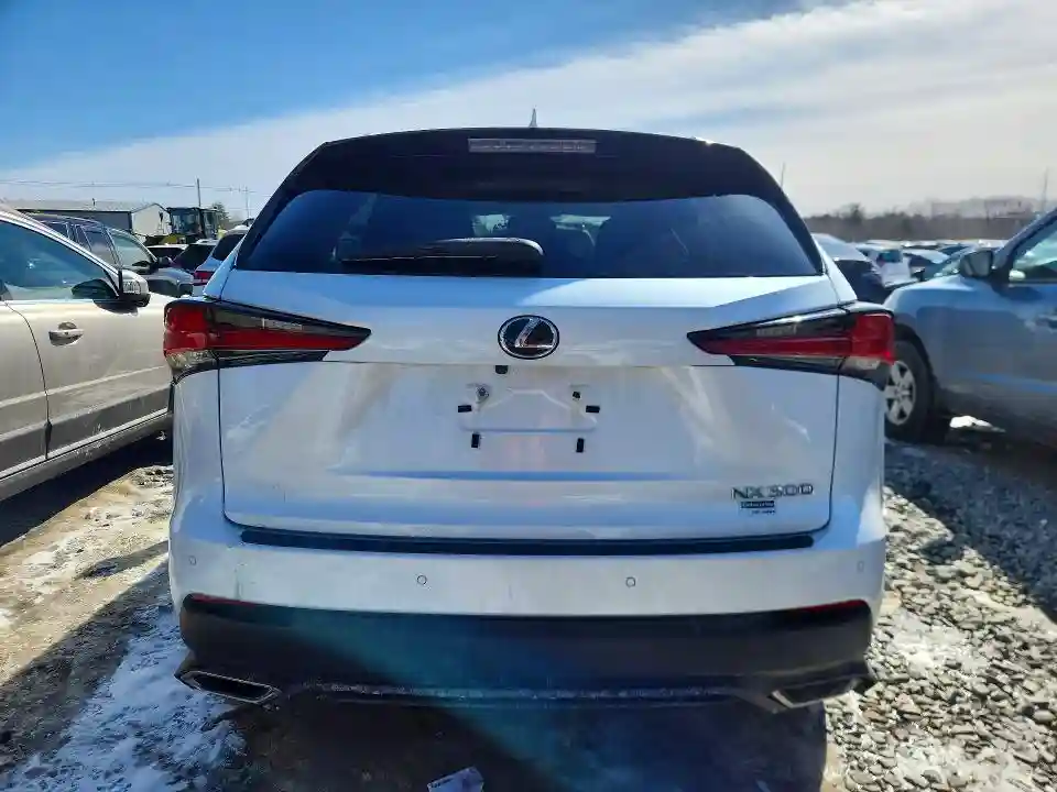 JTJBARBZ7K2199235 2019 LEXUS NX-5