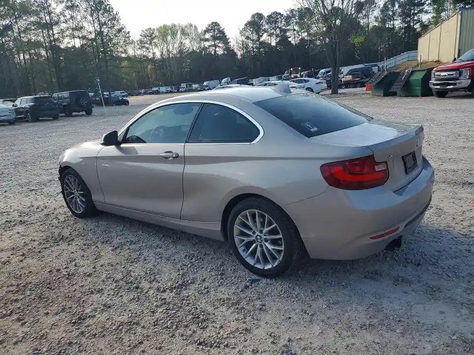 WBA1G9C53GV599062 2016 BMW 2 SERIES-1