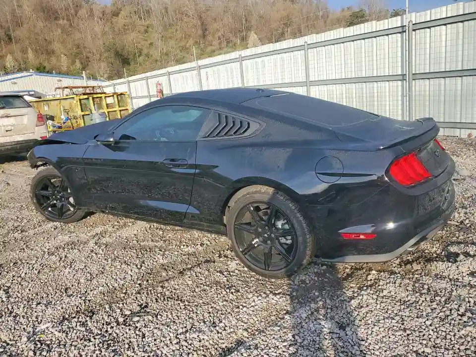 1FA6P8CF3K5203772 2019 FORD MUSTANG-1