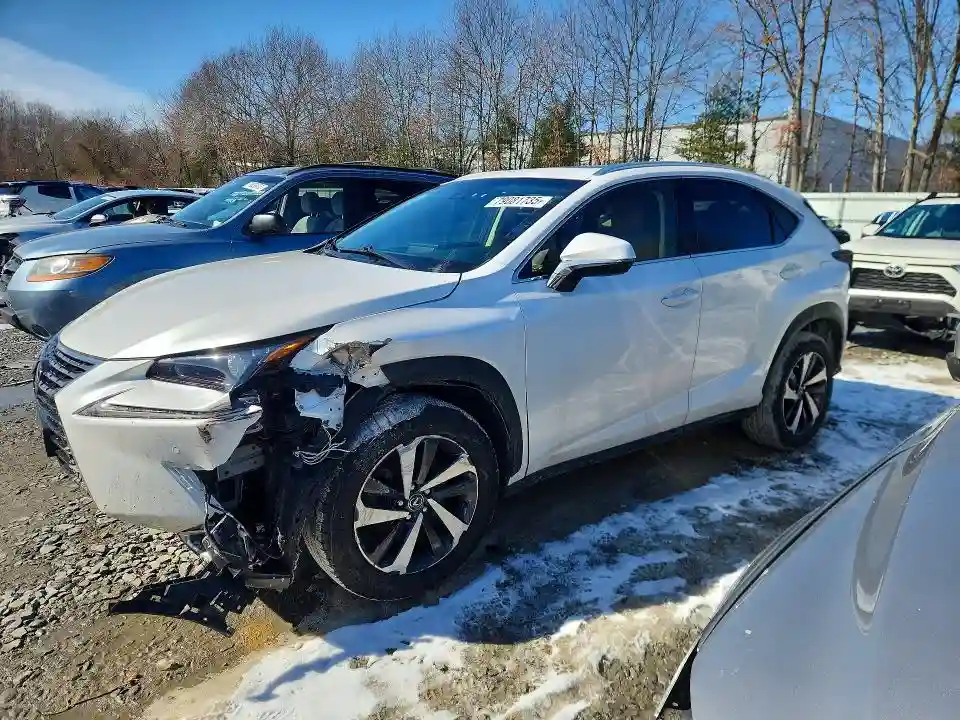 JTJBARBZ7K2199235 2019 LEXUS NX-0