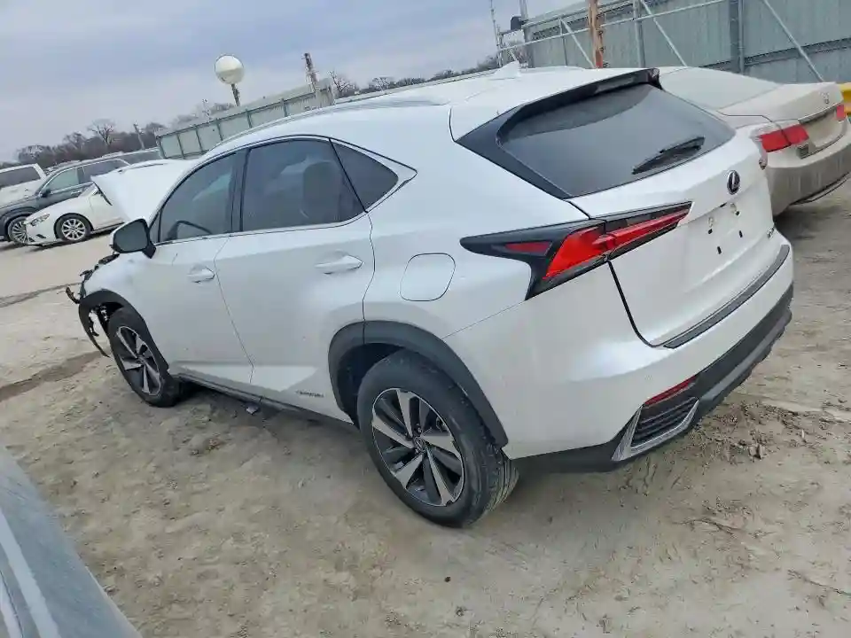 JTJGJRDZ3L5009627 2020 LEXUS NX-1