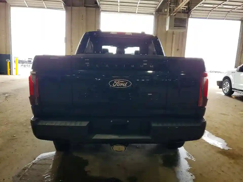 1FTFW7LD4SFA53123 2025 FORD F150 PLATI-5