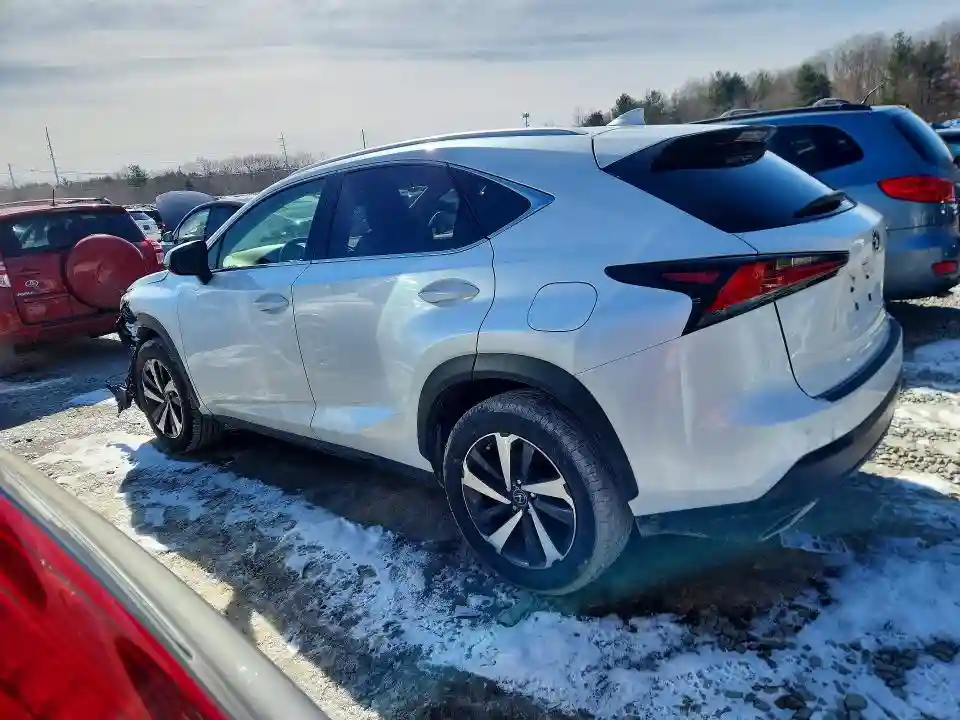 JTJBARBZ7K2199235 2019 LEXUS NX-1