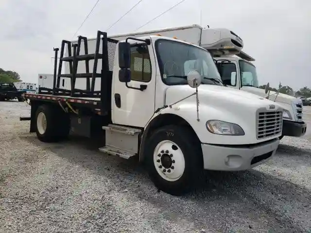3ALACWDT2GDGW3954 2016 FREIGHTLINER ALL OTHER-3