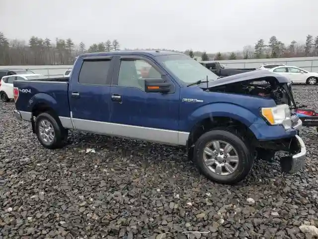 1FTEW1E82AFD59664 2010 FORD F-150-3