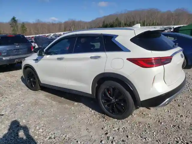 3PCAJ5M39KF144444 2019 INFINITI QX50-1