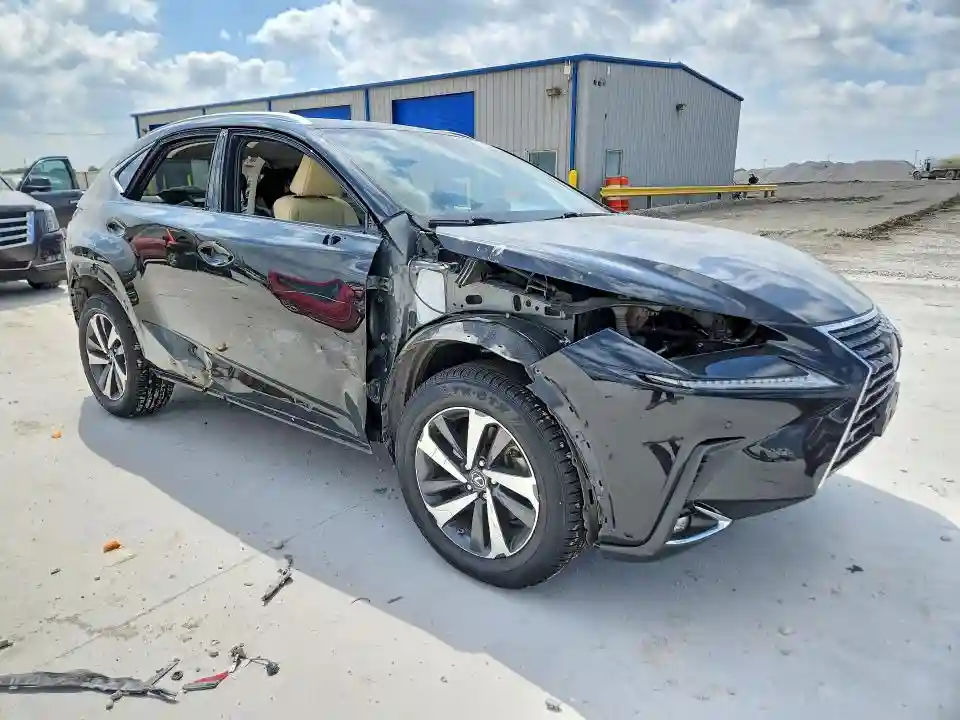JTJYARBZ6K2144737 2019 LEXUS NX-3