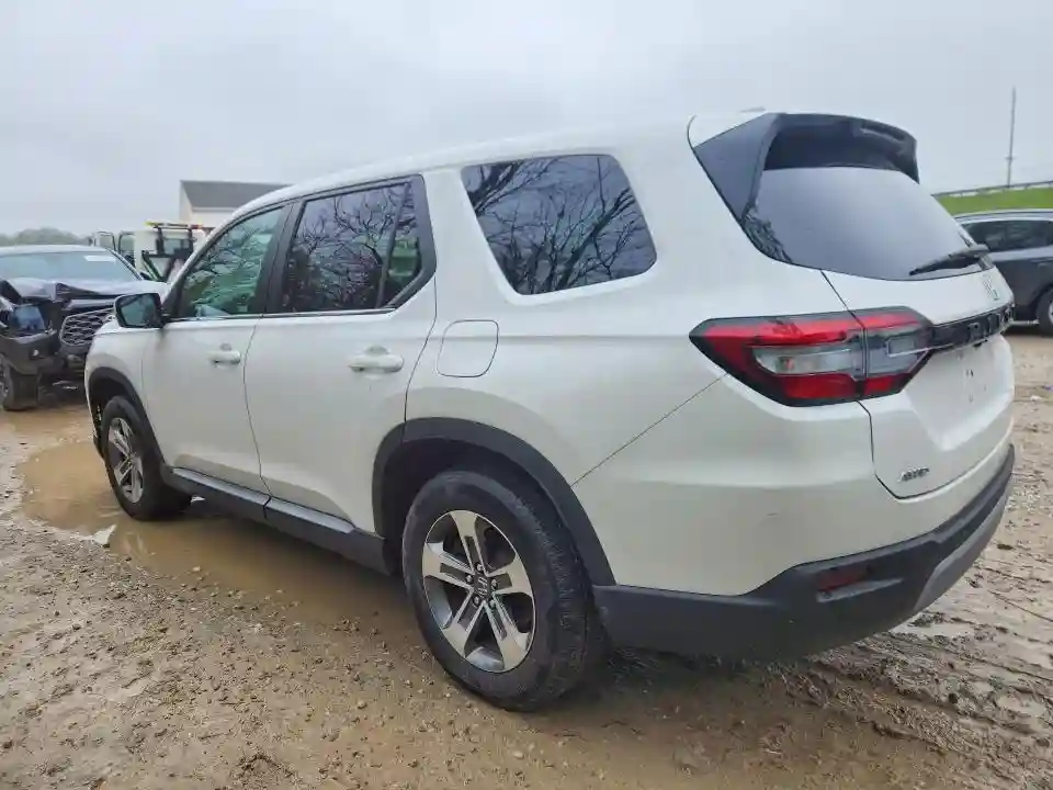 5FNYG1H56RB011233 2024 HONDA PILOT-1