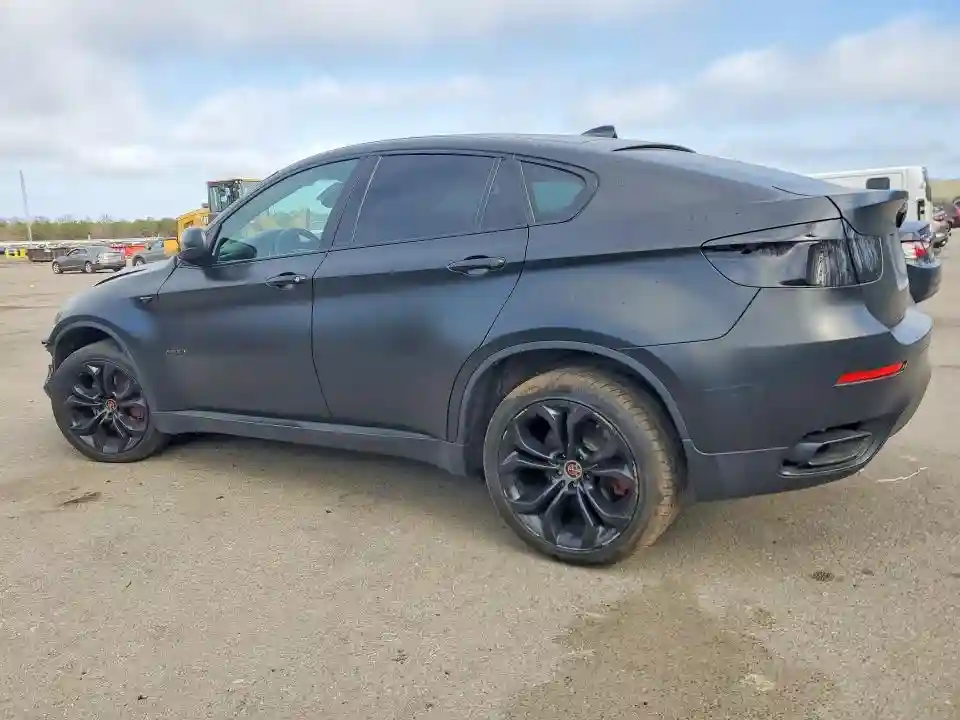 5UXFG8C56DL591319 2013 BMW X6-1