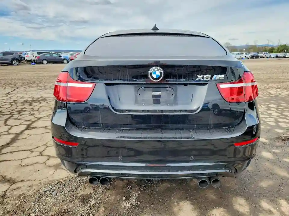 5YMGZ0C59DLL30078 2013 BMW X6-5