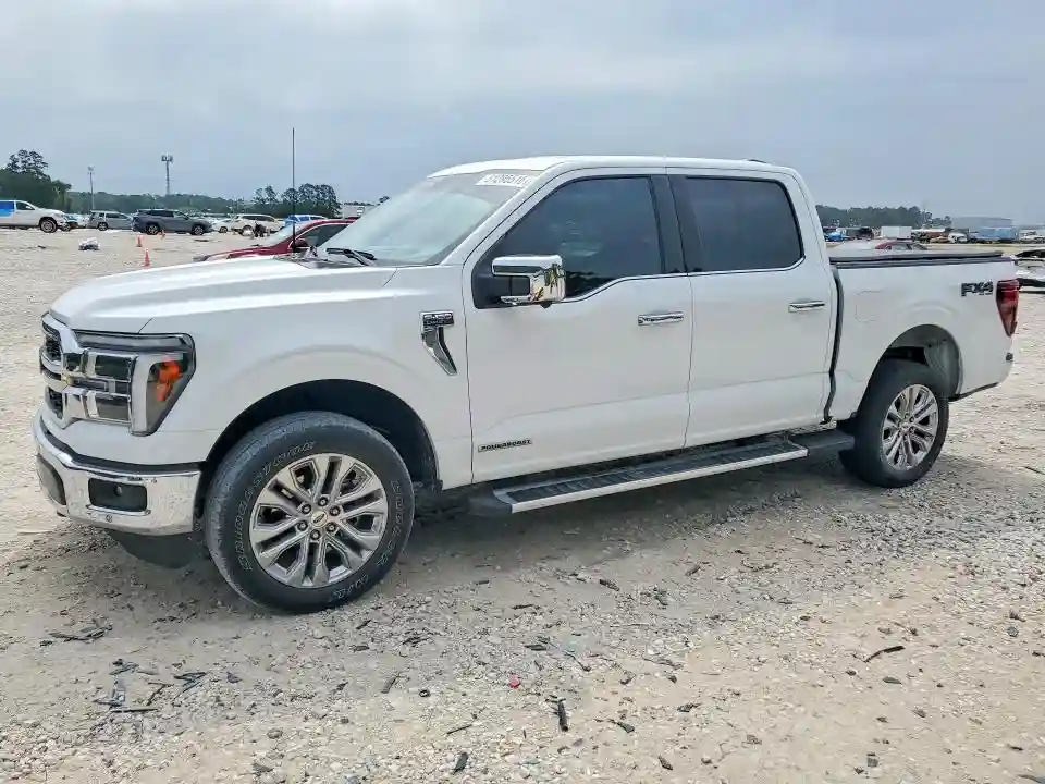 1FTFW5LD8SFA91815 2025 FORD F150-0