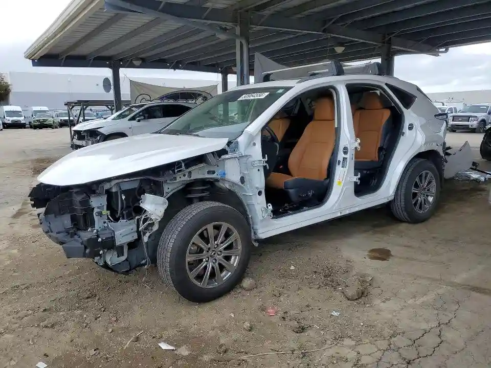 JTJDARDZ5L5002519 2020 LEXUS NX-0