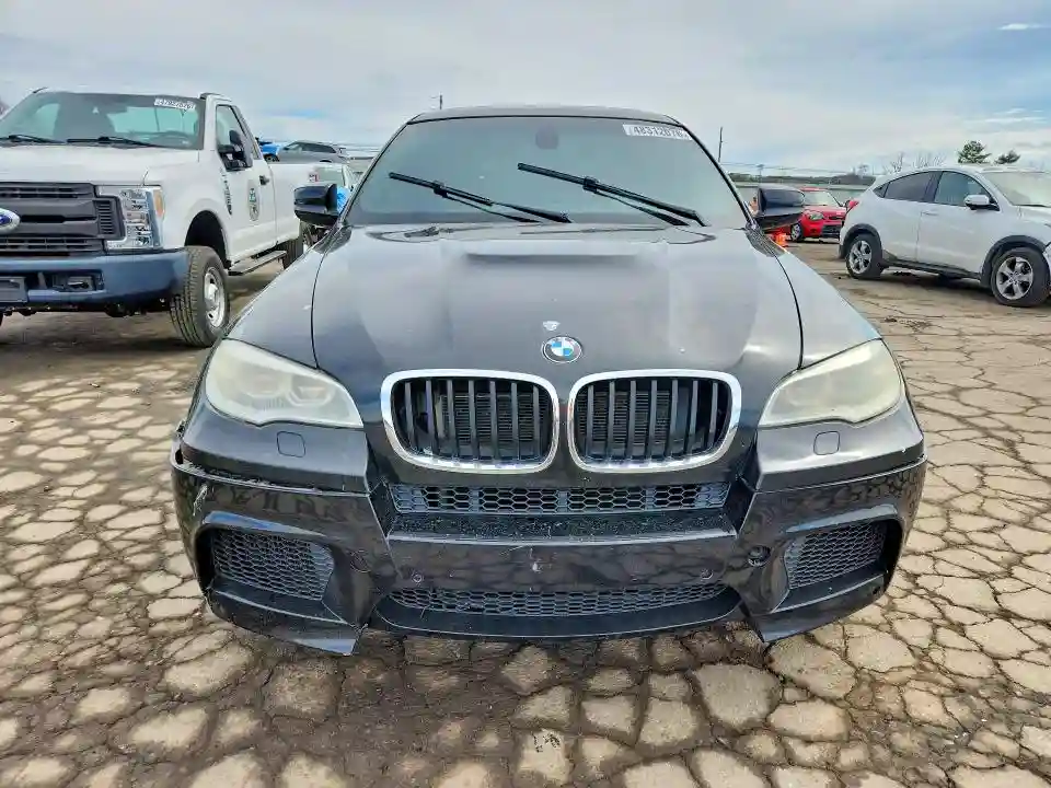 5YMGZ0C59DLL30078 2013 BMW X6-4