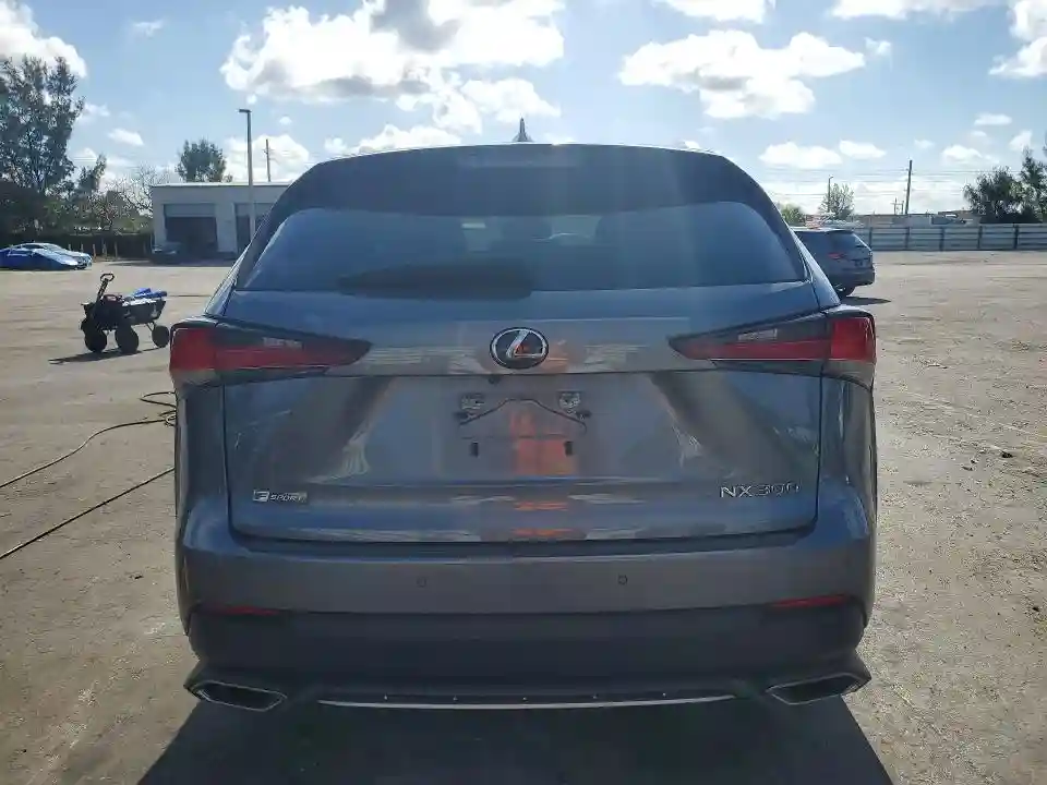 JTJSARBZ3L5009611 2020 LEXUS NX-5