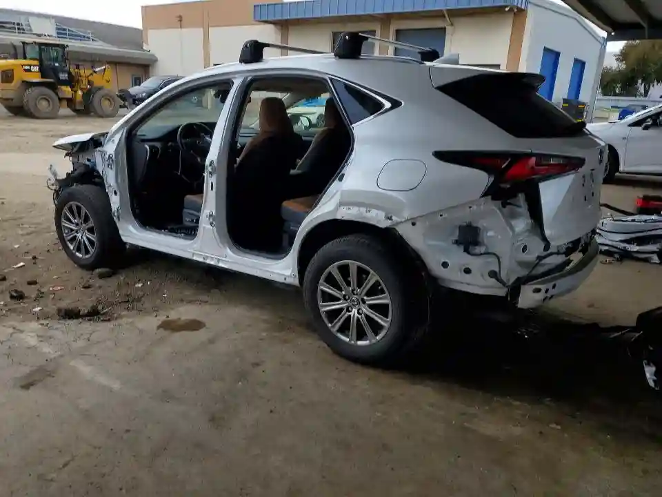 JTJDARDZ5L5002519 2020 LEXUS NX-1