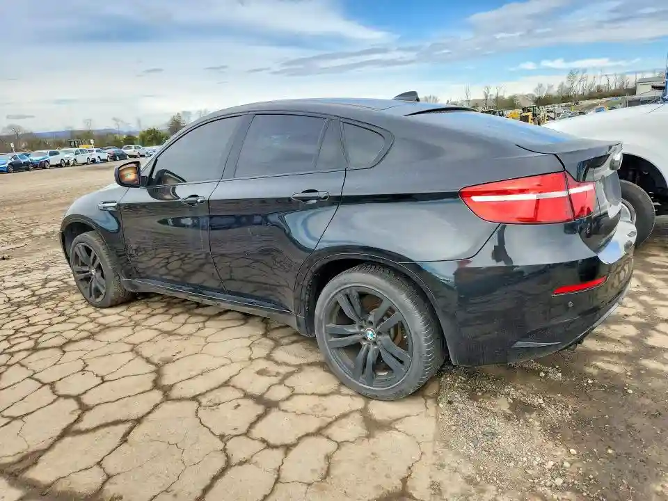 5YMGZ0C59DLL30078 2013 BMW X6-1