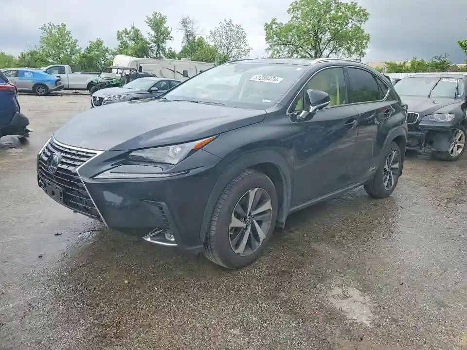 JTJGJRDZ1L2139245 2020 LEXUS NX-0