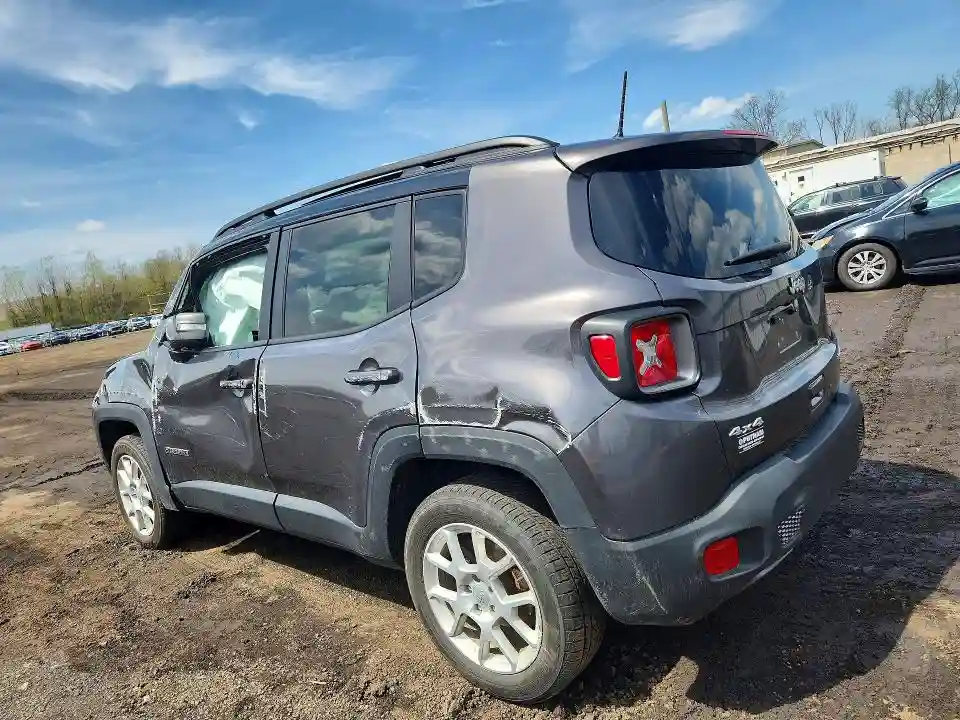 ZACNJDD16MPM53078 2021 JEEP RENEGADE-1