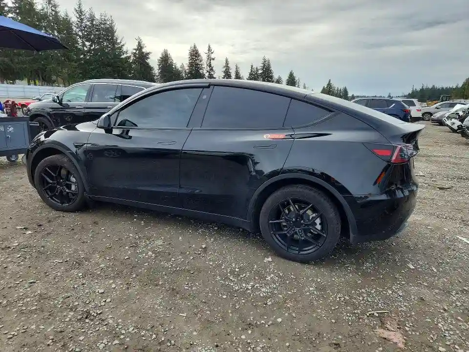7SAYGDEE7RF201728 2024 TESLA MODEL Y-2